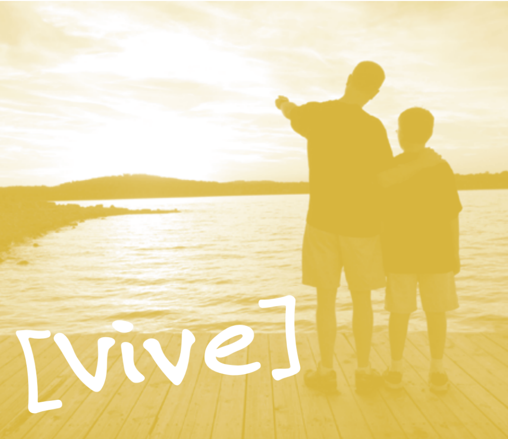 PO IP 27 vive